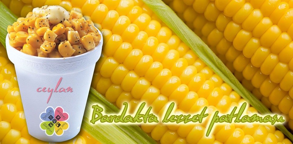Corn in Cup. 