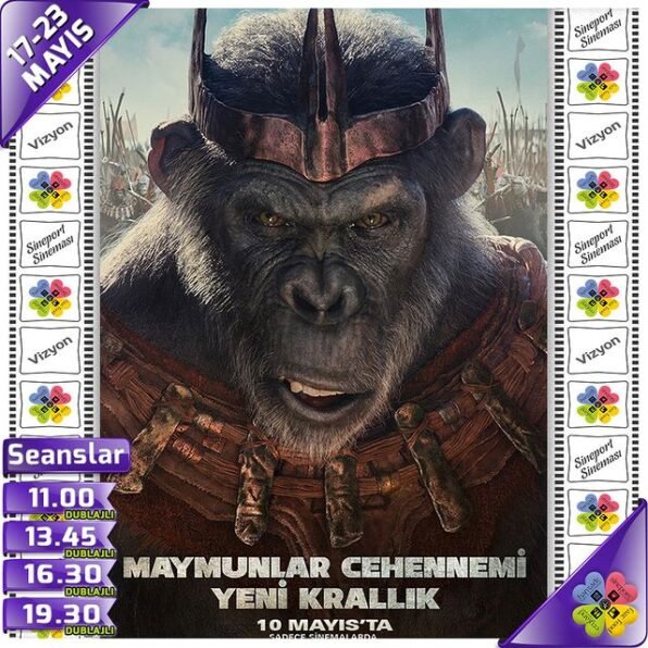ceylaneglencemerkezi-17-05-2024-0003 by .
